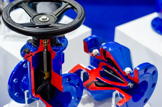 آشنایی با گلوب ولو